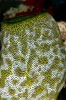 Tunicates (Sea Squirts)